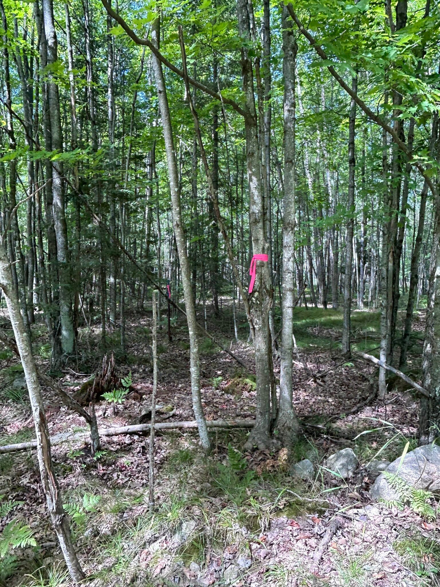 Sunny View Lane @ County Rd GG, Crivitz, WI for Sale