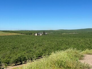 Oakdale, CA Agricultural Land - 6000 Tim Bell Rd
