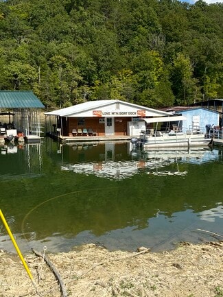 325 Lone Mtn Boat Dock Ln  