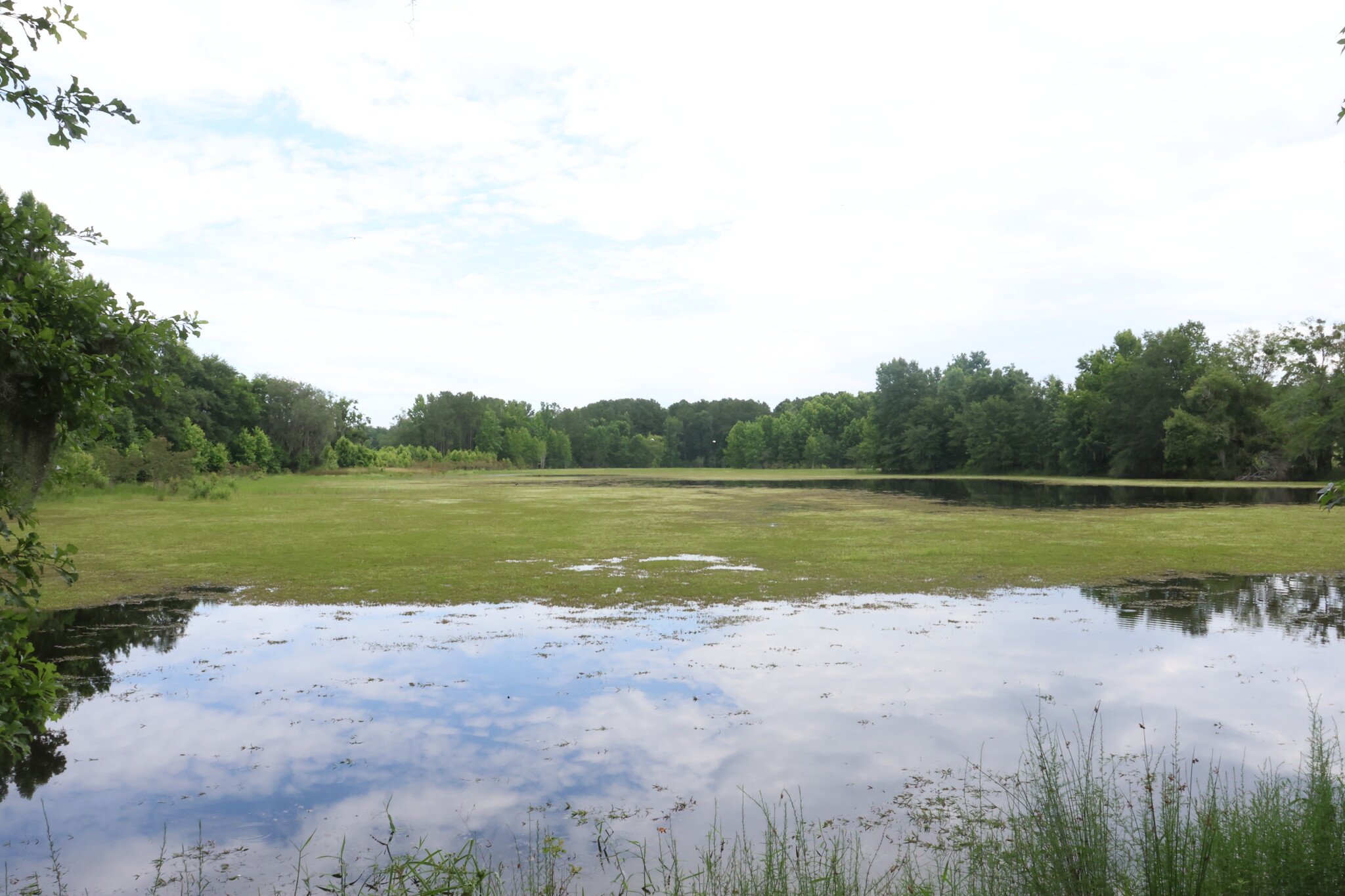 Bassett Dairy rd, Monticello, FL for Sale