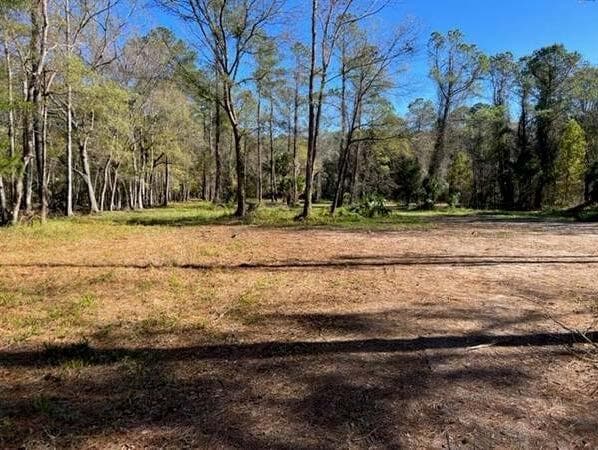 169 Hutchinson Rd, Jacksonville, FL for Sale