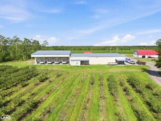 Ivanhoe, NC Commercial - 5478 Halfway Branch School rd