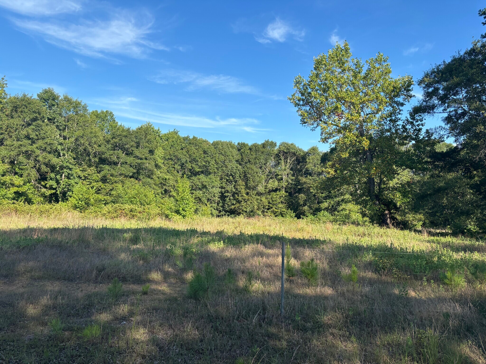 1609 Holiday Dam Rd, Belton, SC for Sale