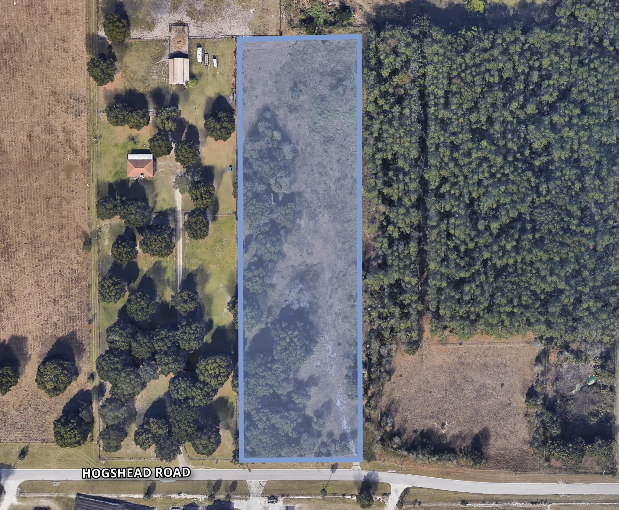 4203 Hogshead Rd, Apopka, FL for Sale