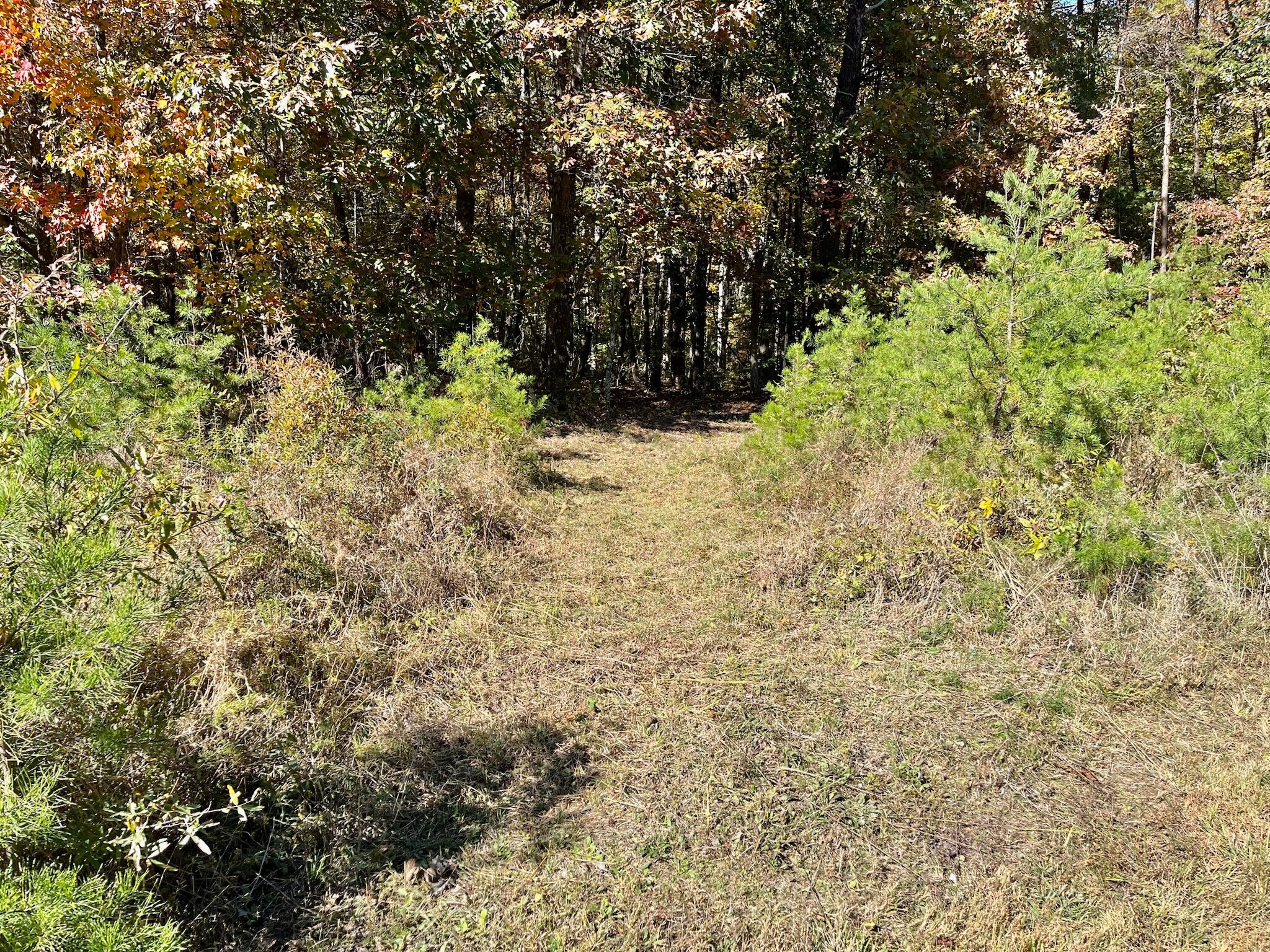 3800 Three Notch Road Louisa, VA 23093 Land Property for Sale on