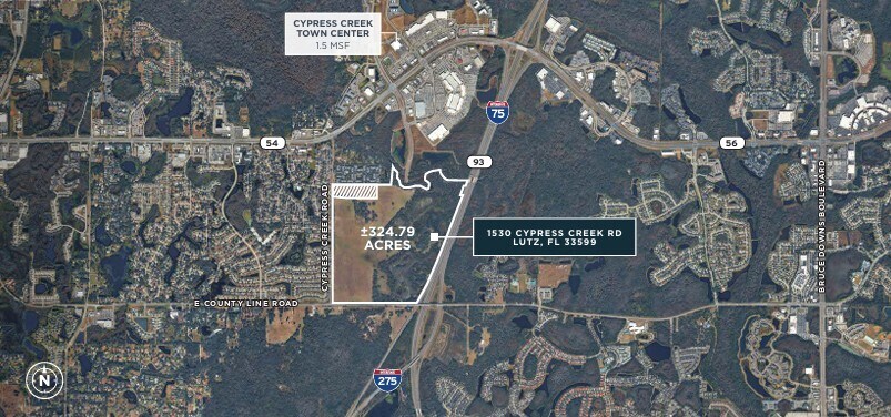 1530 Cypress Creek Rd, Lutz, FL for Sale