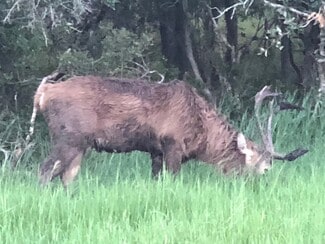 Beeville, TX Agricultural Land - 5734 County Road 305