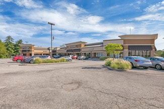 Saint Louis, MO Retail - 4450-4460 S Lindbergh Blvd