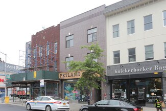 Brooklyn, NY undefined - 365 Knickerbocker Ave