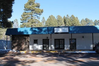 Pinetop, AZ Office/Retail - 674 E White Mountain Blvd