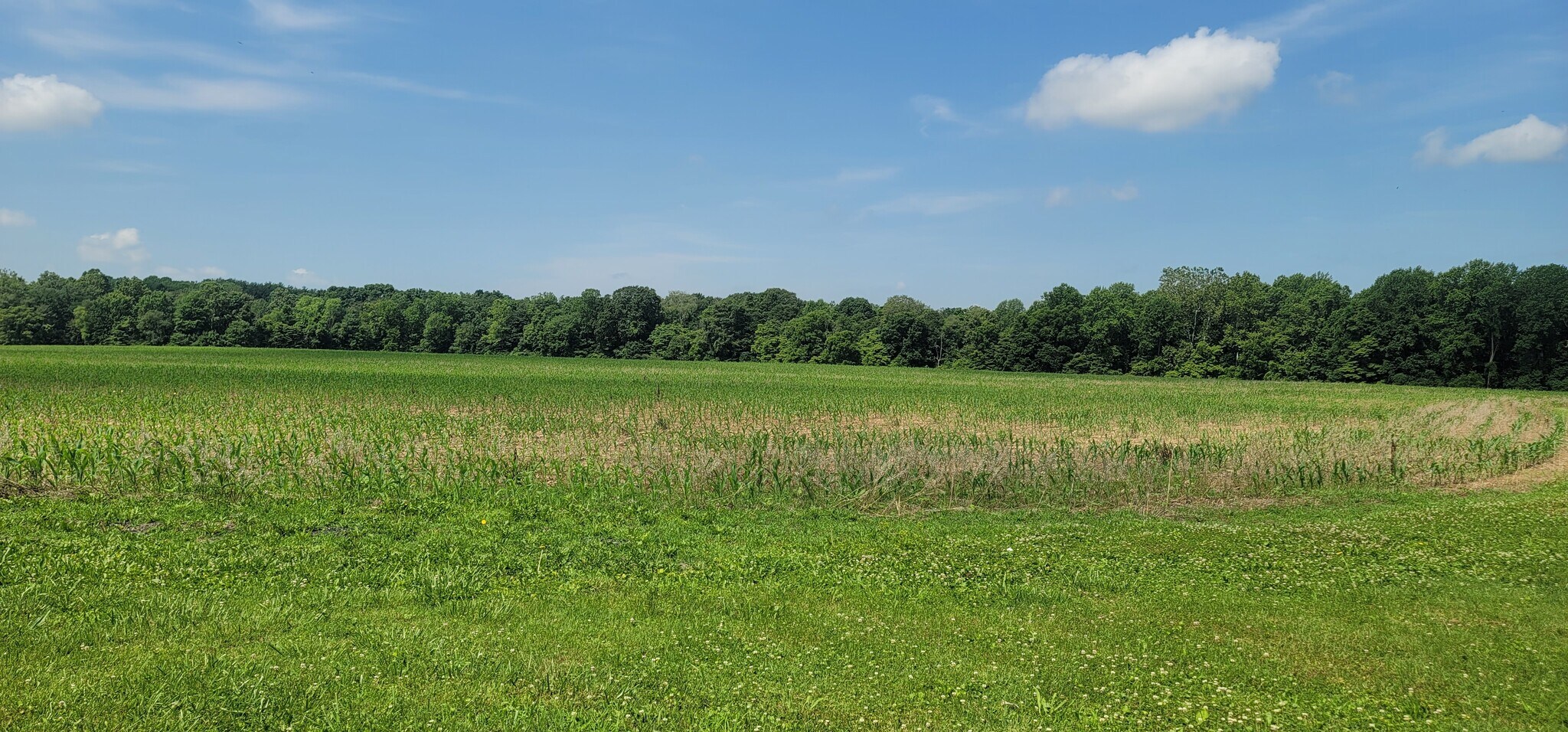 3204 N Bowling Green Poland Rd, Poland, IN for Sale