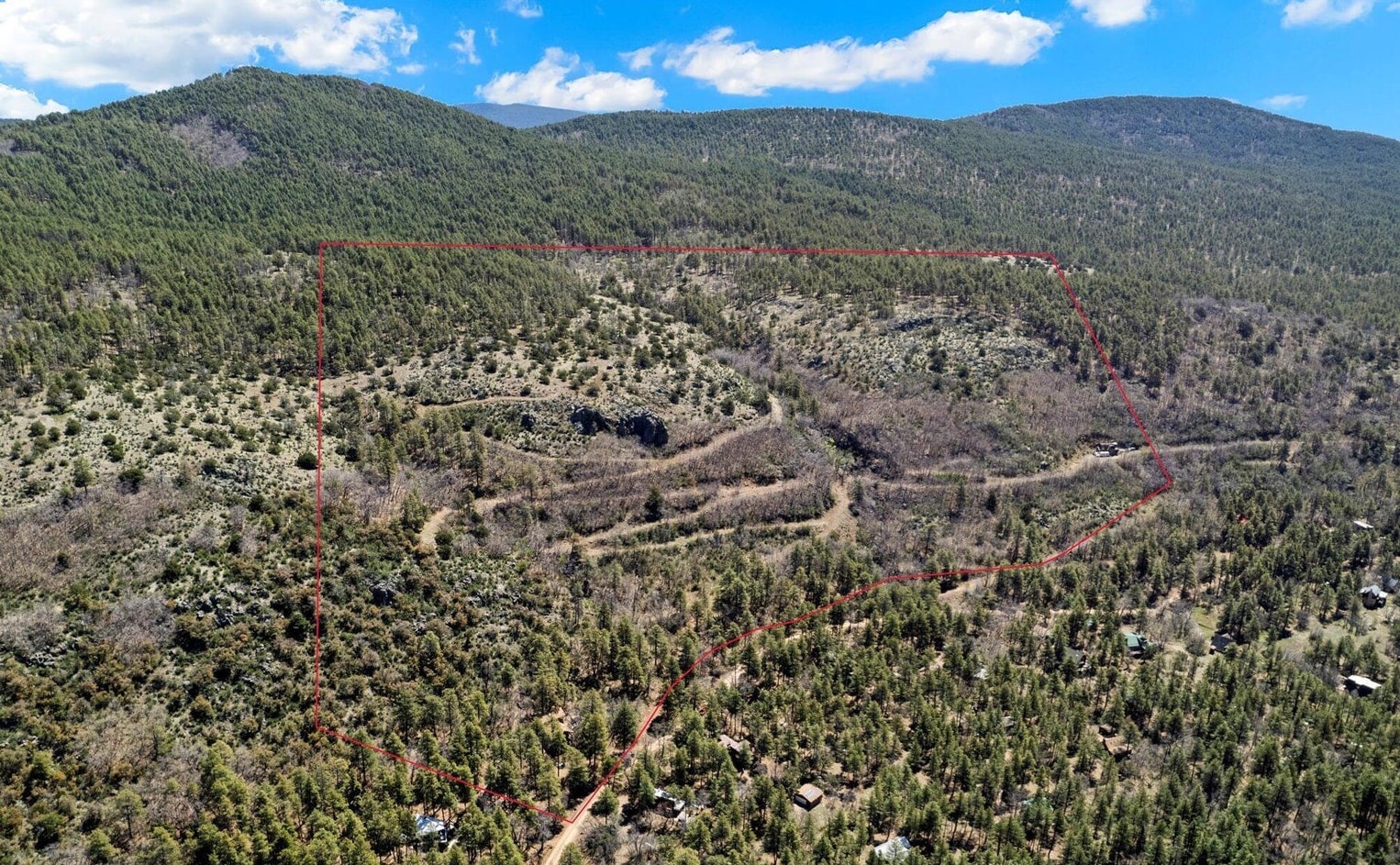 18 Mormon Lake Rd, Mormon Lake, AZ for Sale
