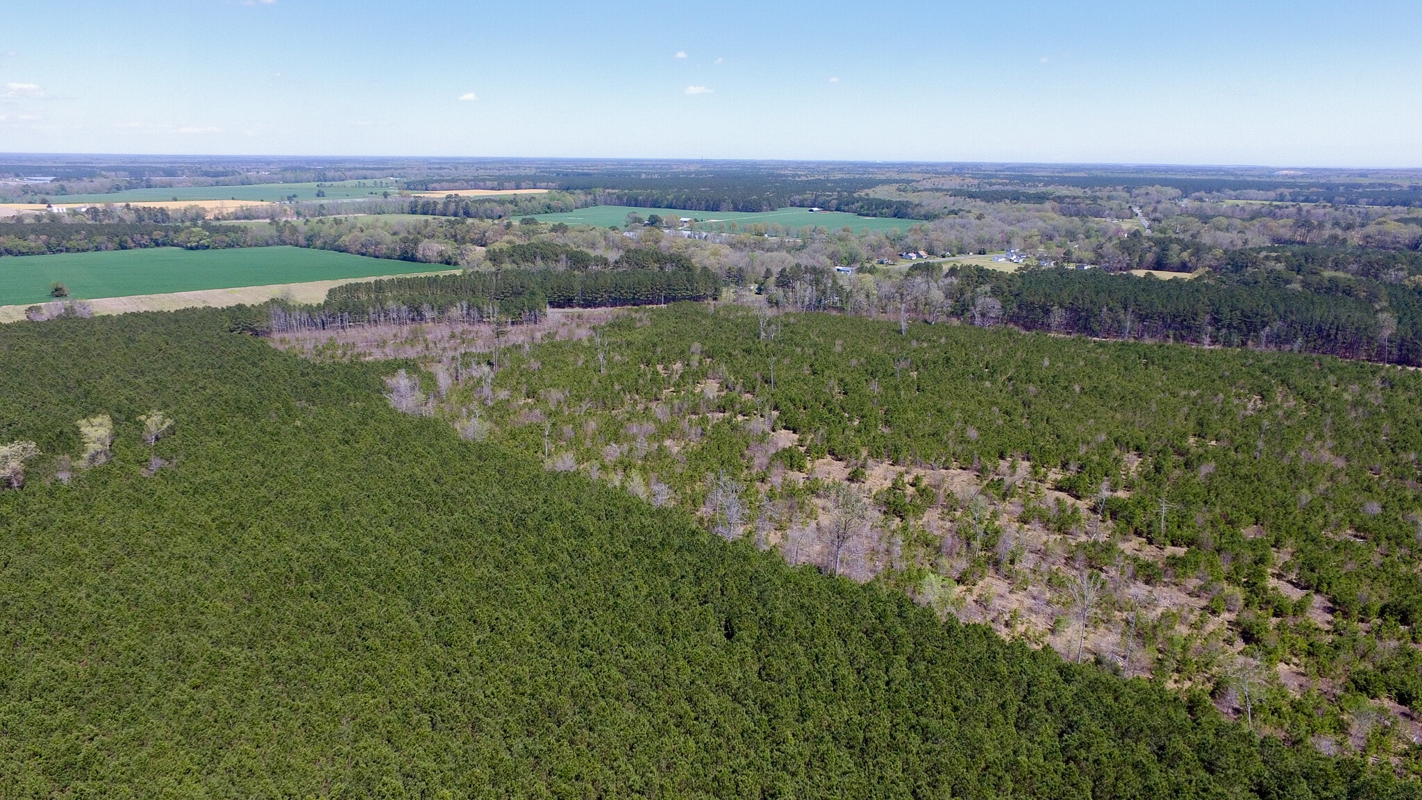 Saxis Neal Parker Temperanceville, VA 23442 Land Property for Lease