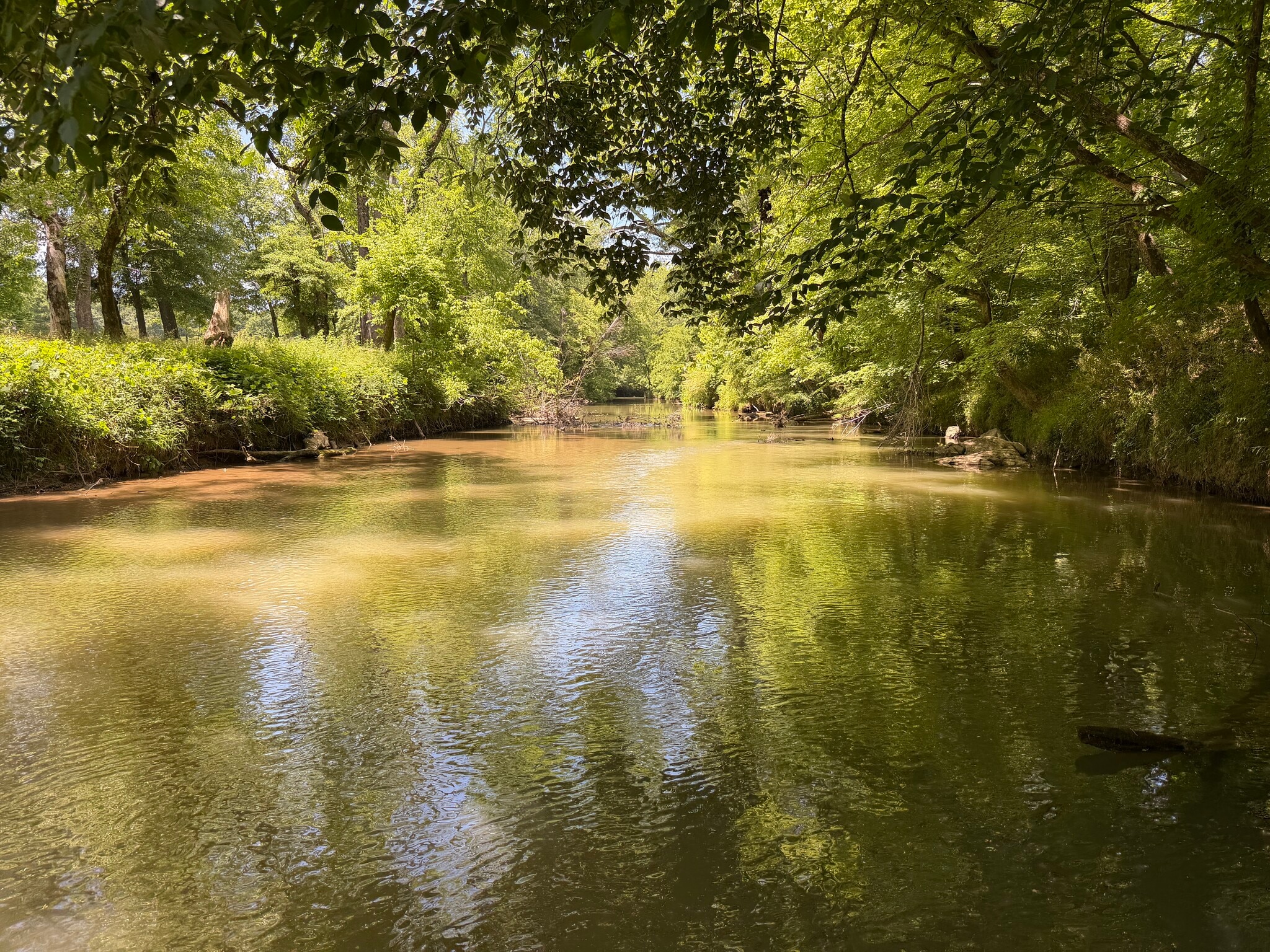 1593 Old Alabama rd, Taylorsville, GA for Sale