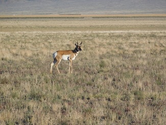 Rachel, NV Residential - 1234 GUNDERSON Rd