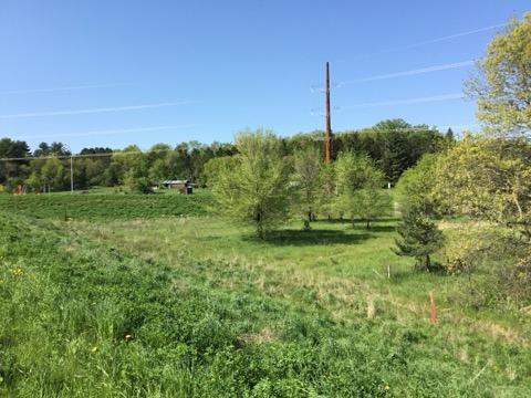 Xxx County Road 24 & 63rd Ave, Cannon Falls, MN for Sale