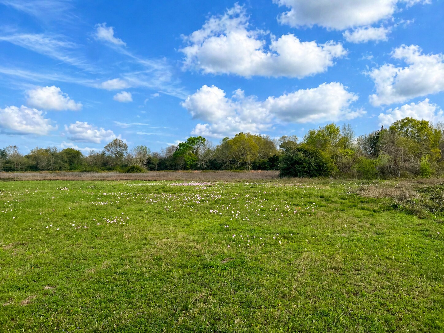 TBD FM 1161 Road, Wharton, TX for Sale