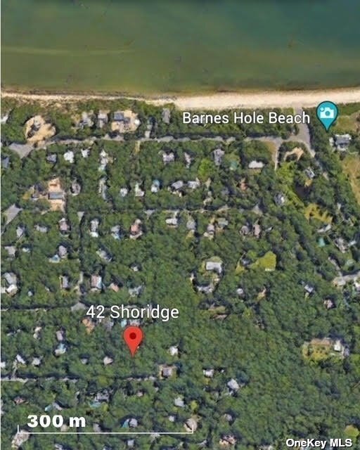 42 Shoridge, East Hampton, NY for Sale