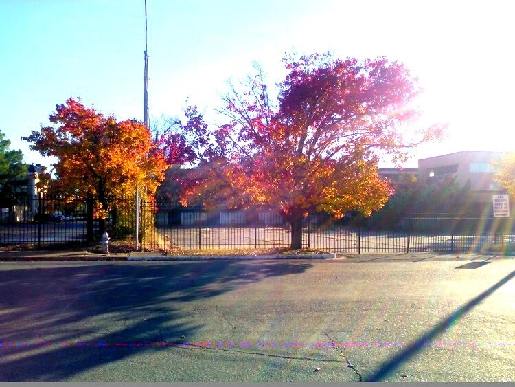 1441 E Brooks Rd, Memphis, TN for Sale