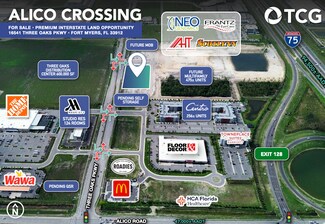 Fort Myers, FL Commercial Land - 16541 Three Oaks Pky