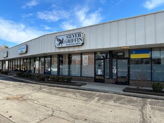 Schaumburg, IL Retail - 201-225 S Meacham Rd