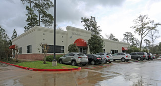 The Woodlands, TX Office/Medical - 6704 Sterling Ridge Rd