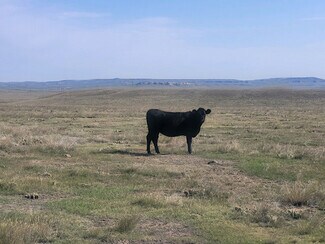 Carr, CO Commercial Land - 12150 County Rd 126