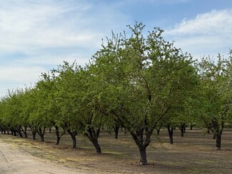 Hughson, CA Agricultural Land - Leedom Rd @ Mountain View Rd