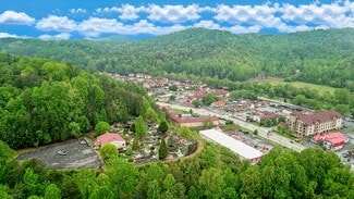 Helen, GA Retail - 8065 S Main St
