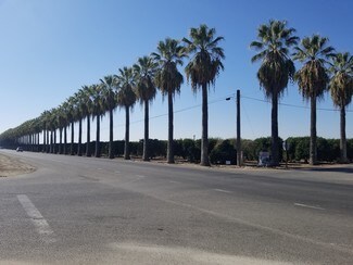 1 Palm Ave  