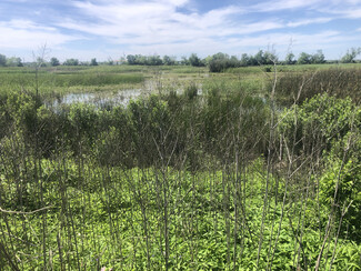 Danbury, TX Agricultural - TBD County Road 210