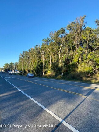 Brooksville, FL Residential Land - Ponce De Leon Ave