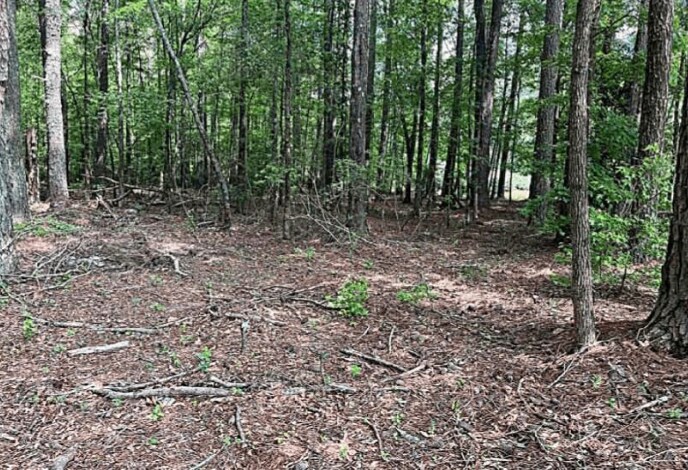 Jimmie Mayfield Blvd Fayetteville, GA 30215 United States, Fayetteville, GA for Sale