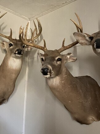 Electra, TX Agricultural Land - TBD S State Highway 25