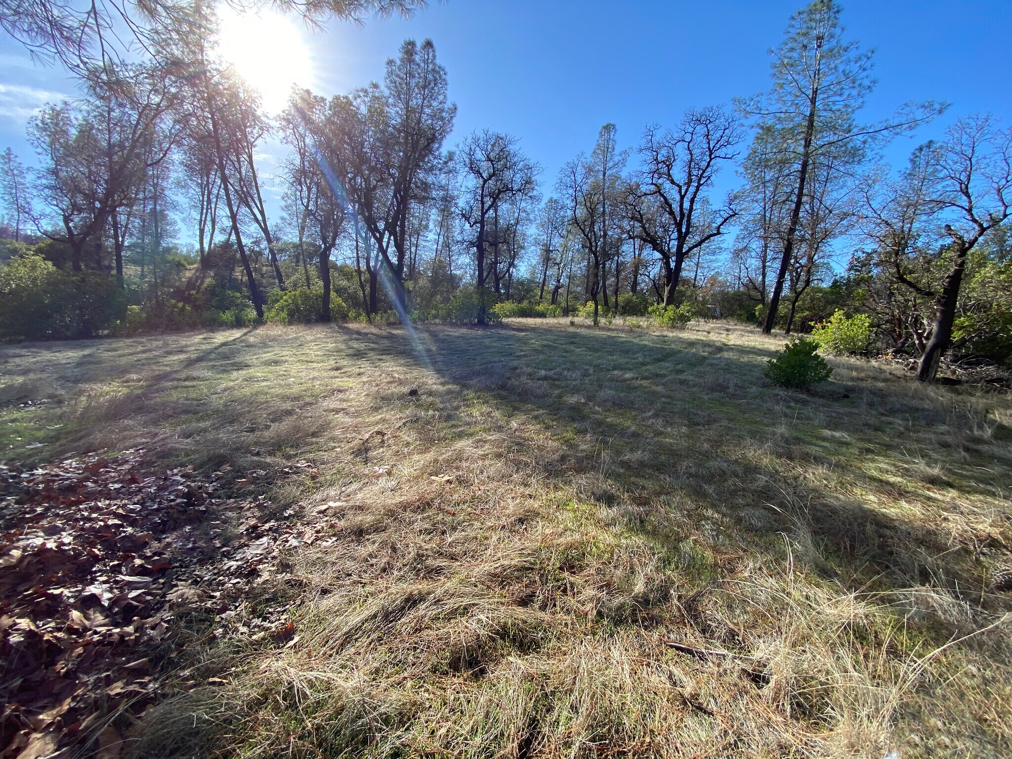 15785 Placer ct, Corning, CA for Sale