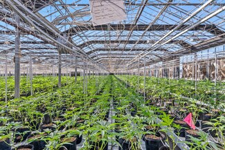 Pajaro, CA Commercial Land - 481-570 San Andreas Rd