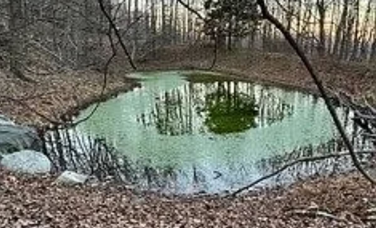 553 Roosa Gap Rd Bloomingburg, NY 12721 Land Property for Sale on