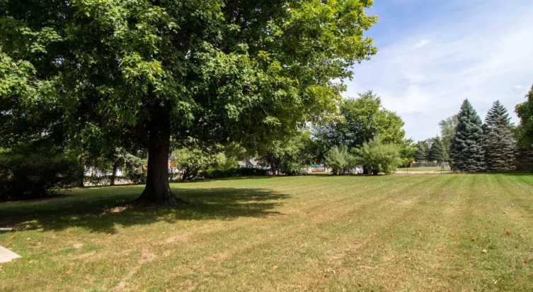 3473 Vienna Rd, Clio, MI for Sale
