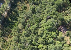 Huntsville, TX Commercial Land - TBD Easley Rd Huntsville, TX Commercial Land - TBD Easley Rd
