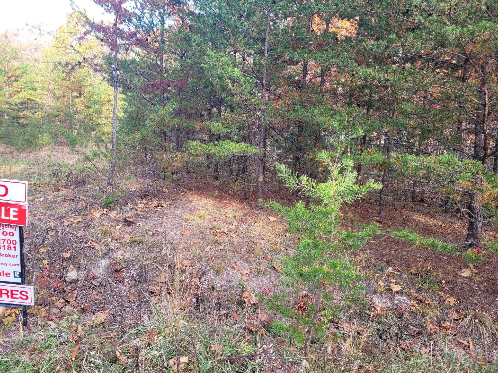 Lot 26 Cabin Run -1, Bloomery, WV for Sale