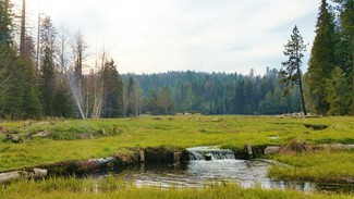 Hume, CA Residential - Forest Route