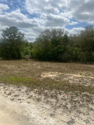 Webster, FL Residential Land - Cleft Rock Street @ Arrowrock Street