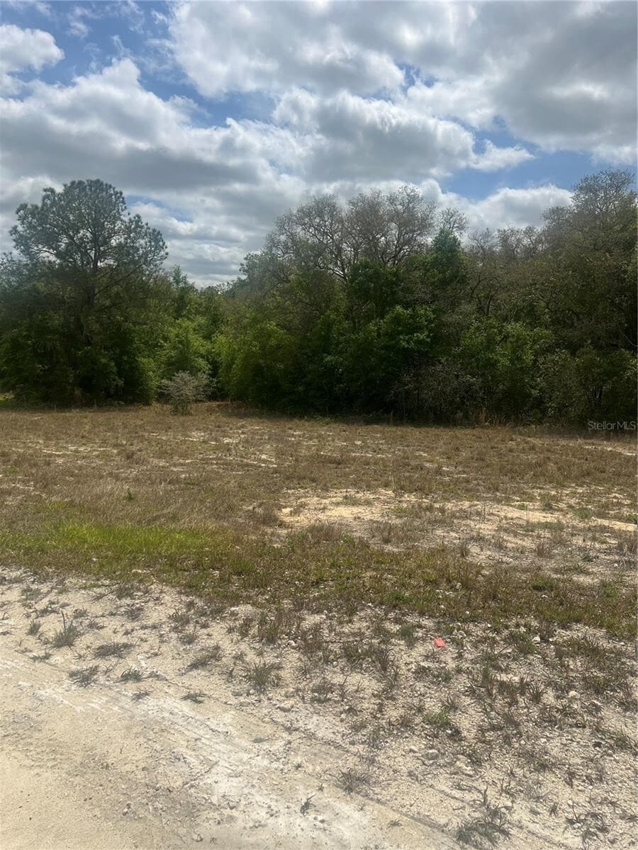 Cleft Rock Street @ Arrowrock Street, Webster, FL for Sale