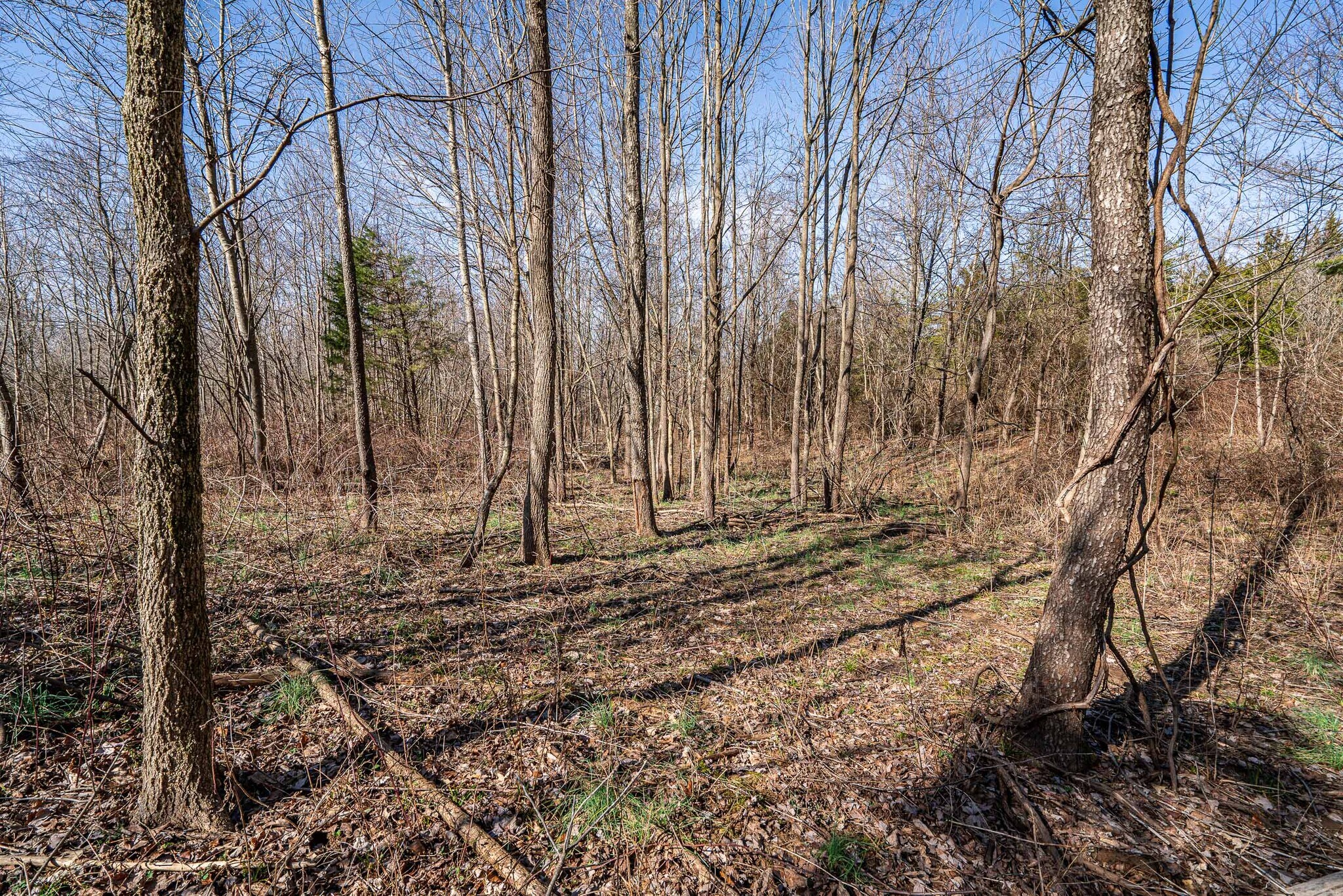 605-S Wilson Rd, Radcliff, KY for Sale