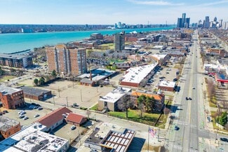 Detroit, MI Office/Residential - 301 Mount Elliott St