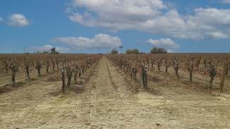 Caruthers, CA Agricultural - 11388 S Chateau Fresno Ave Caruthers, CA Agricultural - 11388 S Chateau Fresno Ave