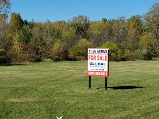 Romulus, MI Residential Land - 6130 Wayne Rd