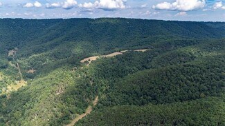 Criders, VA Commercial Land - 22590 Criders Rd