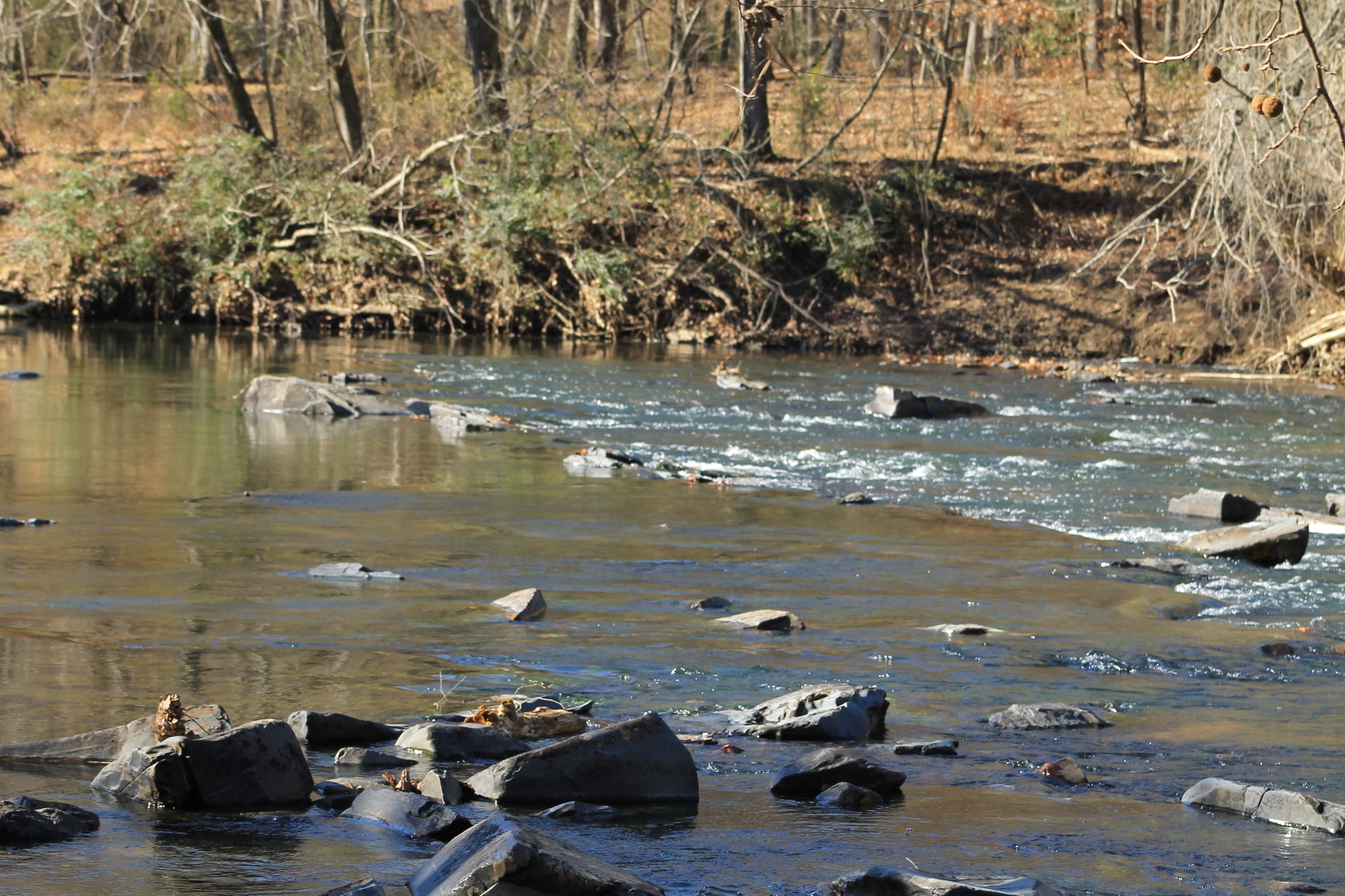 5690 Rocky Mount Church Rd, Polkton, NC for Sale