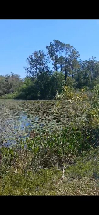 Webster, FL Residential - 34200 Richardson Blvd